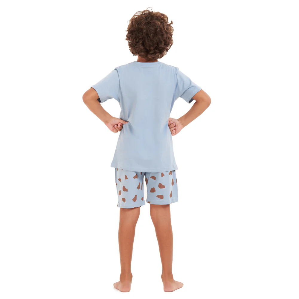 Boys summer pajama set Giraffe t-shirt +Light blue shorts - Image 4